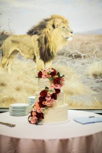 Fort Worth Zoo Wedding Cake Photo